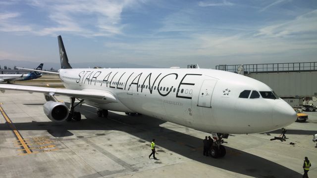 Airbus A340-300 (D-AIFF) - Seen shortly after arriving from Frankfurt (FRA).