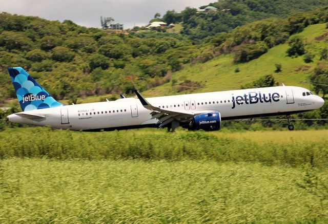Airbus A321neo (N2060J)