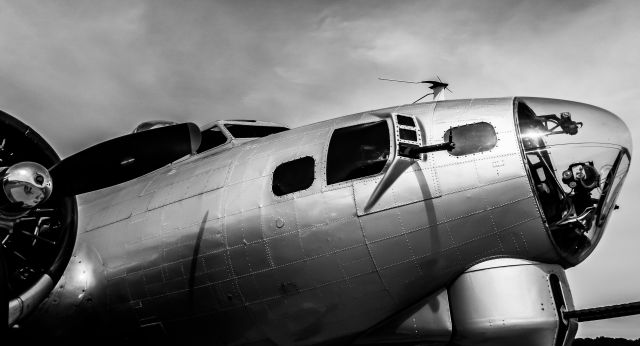 Boeing B-17 Flying Fortress (N5017N) - Aluminum Overcast