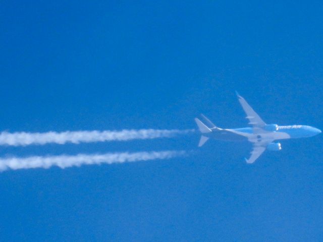 Boeing 737-800 (N5233A)