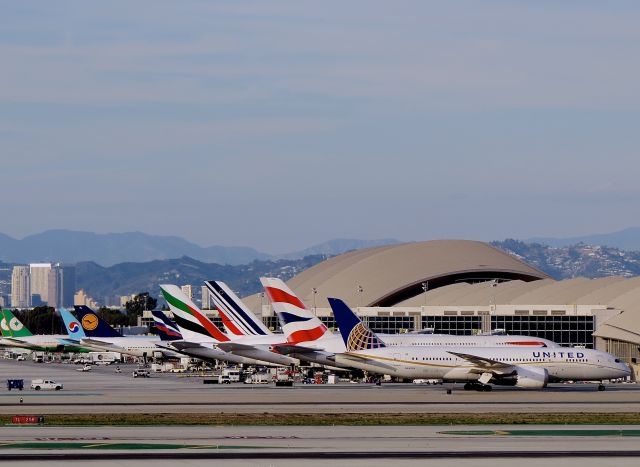 Boeing 787-8 (N45905) - LAX Tom Bradley lineup. noted Dec14, 2014