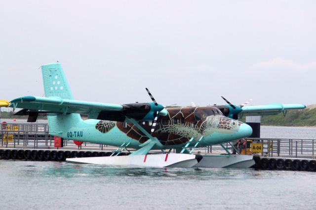 De Havilland Canada Twin Otter (8Q-TAU) - Docked at the jetty on 3-Jan-24 prior to departure for Laamu.