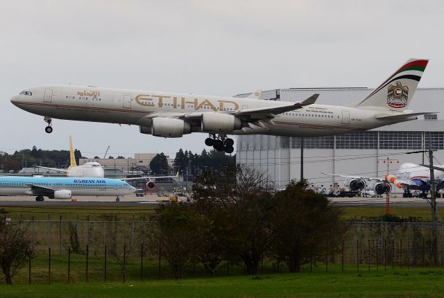 Airbus A340-500 (A6-EHC)
