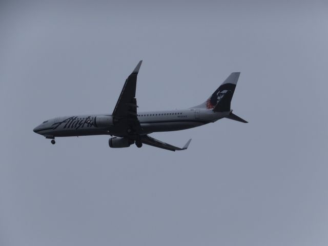 Boeing 737-800 (N535AS)