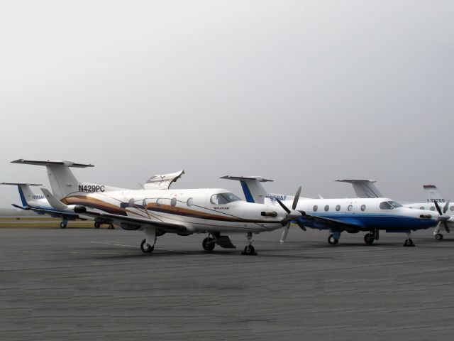 Pilatus PC-12 (N429PC) - Quite a bunch of PC12s at nantucket. They are great aircraft!