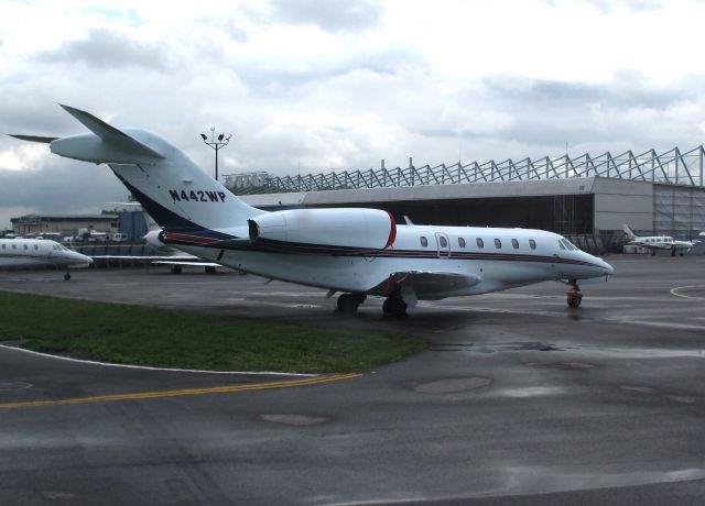 Cessna Citation X (N442WP) - The Citaion X does not only LOOK fast ist IS fast!