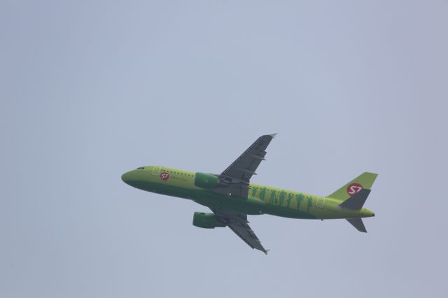 Airbus A320 (VQ-BES)