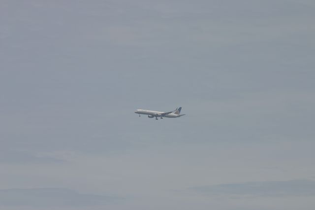 BOEING 757-300 (N75858) - United Airlines Boeing 757-300 on approach to Aruba International Airport from Newark International Airport on June 15, 2013. This picture was taken from Bunker Bar at The Tamarijn Resorts in Aruba