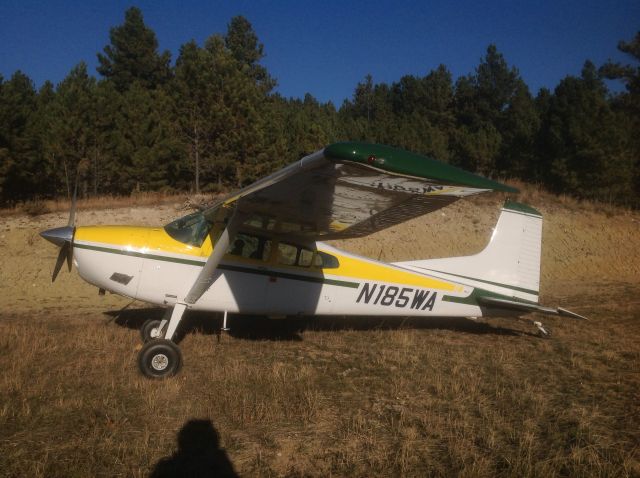 Cessna Skywagon (N185WA)