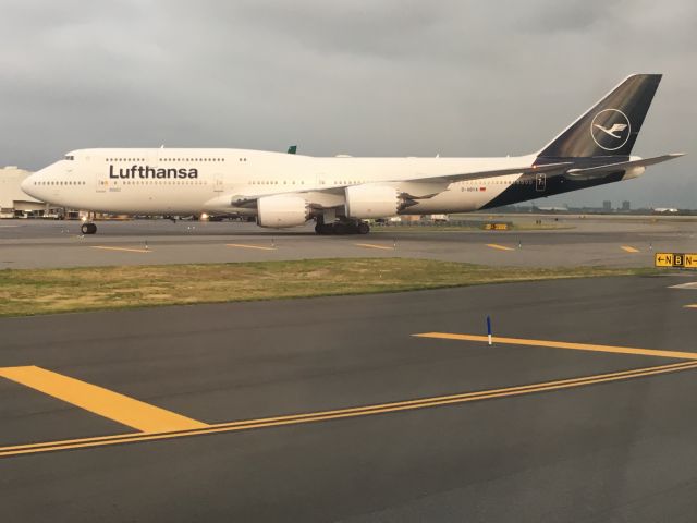 BOEING 747-8 (D-ABYA) - Taxing on an American Eagle ERJ-145 and saw this 747-8.