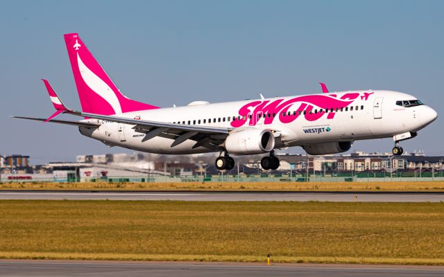 Boeing 737-800 (C-FPLS)