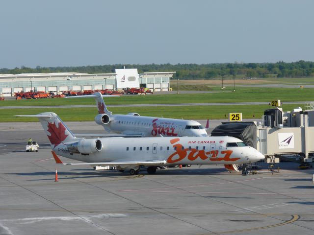 Canadair Regional Jet CRJ-200 — - two jazz crj at Ottawa airport terminal