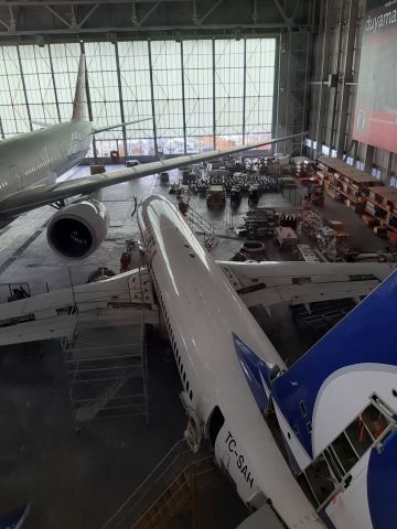 Boeing 737-700 (TC-SAH) - Istanbul Ataturk Airport, Turkish Maintenance Center, 3 Dec 2018.
