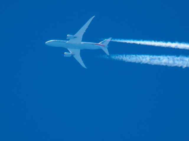 Boeing 787-8 (N807AA)