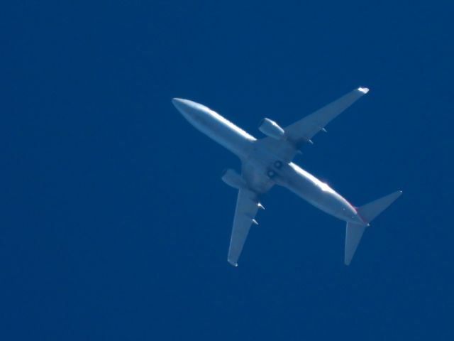 Boeing 737-800 (N810NN) - AAL547br /SJD-ORDbr /07/08/22
