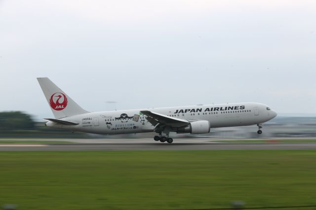 BOEING 767-300 (JA659J) - 26 July 2015:HND-HKD.