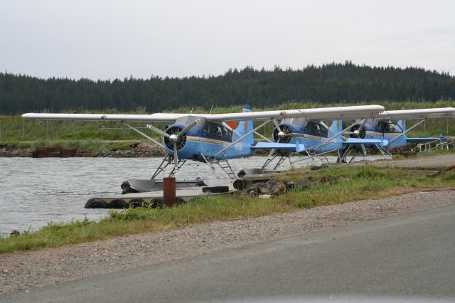 De Havilland Canada DHC-2 Mk1 Beaver —