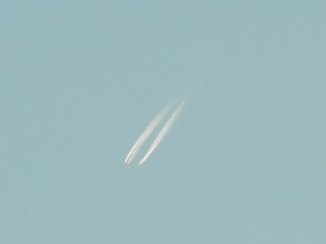 Boeing 747-400 (D-ABVW) - A Lufthansa B744 Flies By My House En-Route To Orlando 