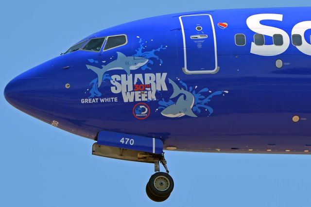 Boeing 737-700 (N470WN) - Southwest Boeing 737-7H4 N470WN Shark Week Great White at Phoenix Sky Harbor on July 28, 2018. 