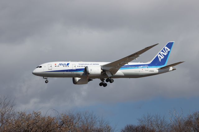 Boeing 787-8 (JA824A) - February 23, 2025:HND-HKD.