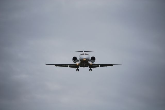 Canadair Challenger (N1DH)