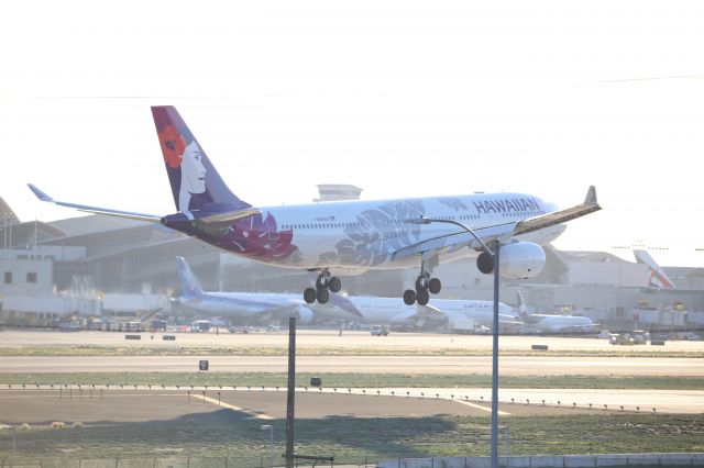 Airbus A330-200 (N383HA)