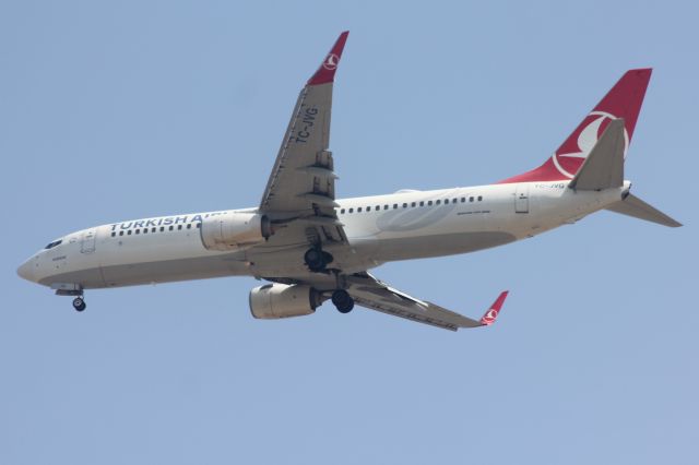 Boeing 737-800 (TC-JVG)