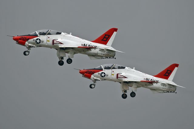 — — - A pair of Goshawks at NAS Kingsville