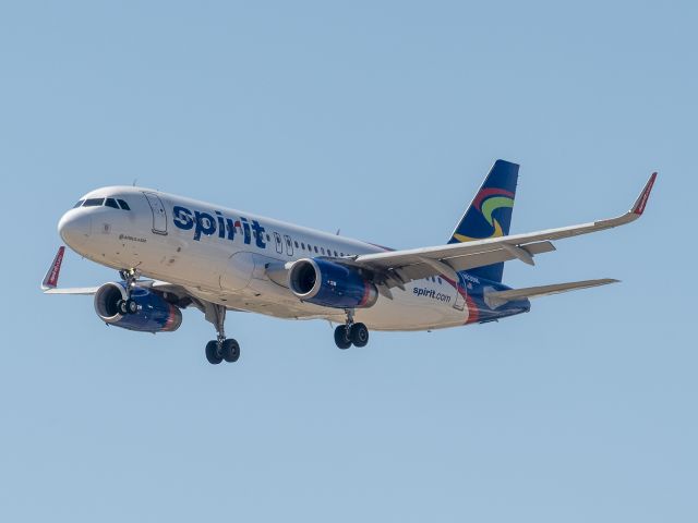 Airbus A320 (N639NK) - 6/20/2020