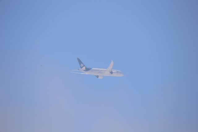Boeing 787-8 (N966AM)