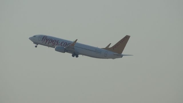 Boeing 737-800 (TC-ADP)