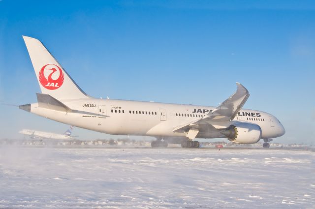 Boeing 787-8 (JA830J) - JAL Dreamliner non-stop service to Tokyo Narita from Bostonbr /Line up and wait on 33L post blizzard January 2014