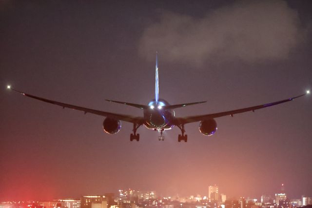 Boeing 787-8 (JA825A) - January 31, 2025:HND-HKD.