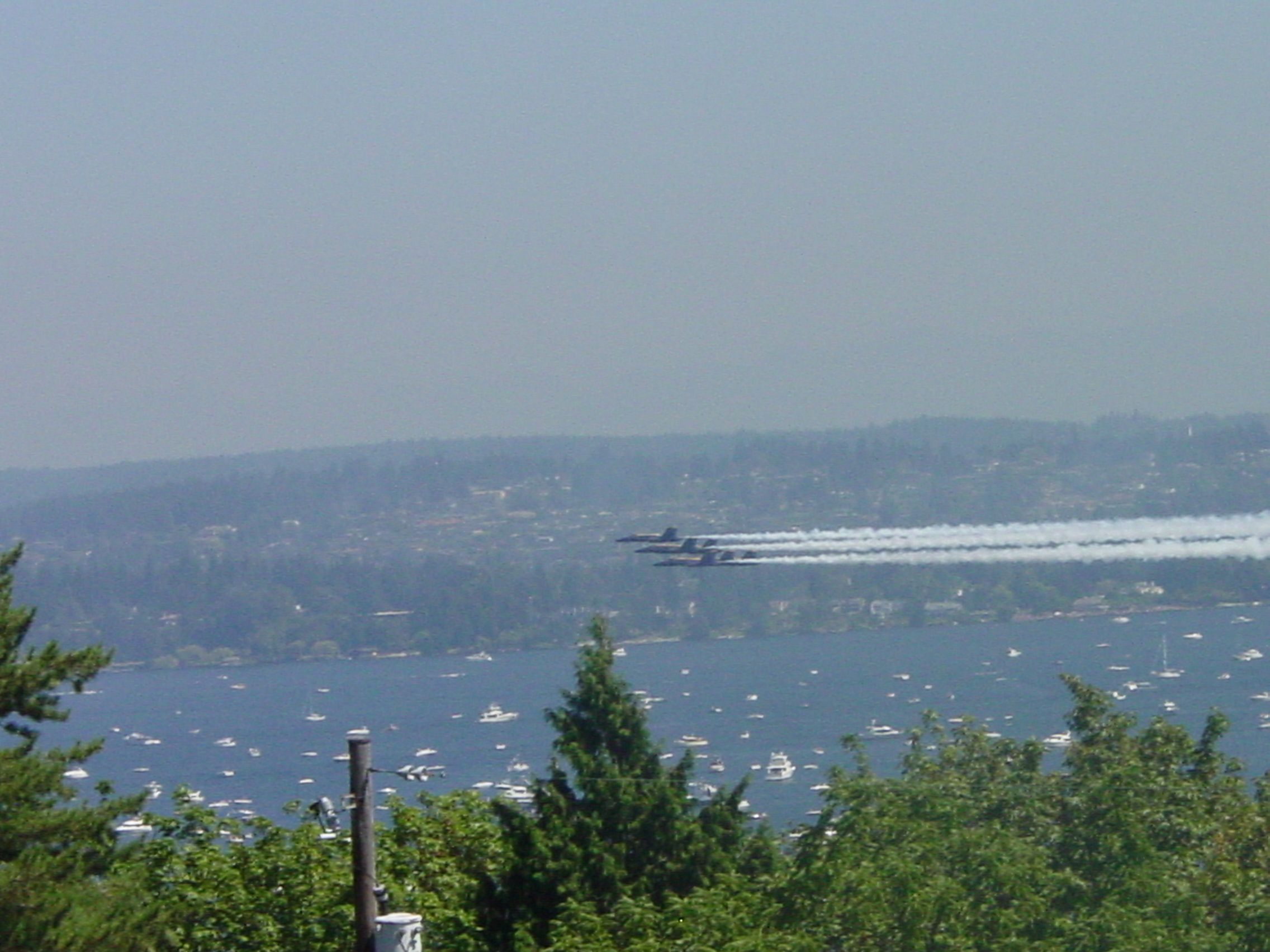 McDonnell Douglas FA-18 Hornet — - Blue Angels