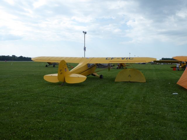 Piper L-18B Cub Special (C-FVIC)