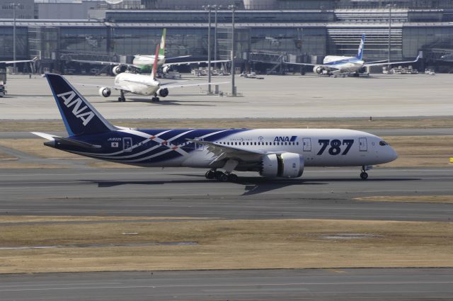 Boeing 787-8 (JA802A) - Landing at Haneda Intl Airport Rwy34L on 2012/02/24