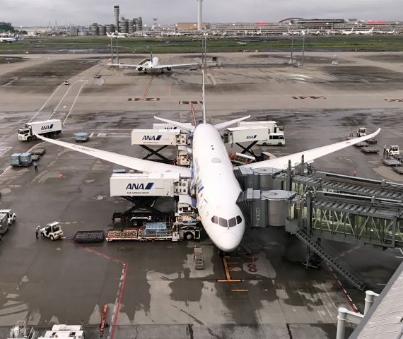 Boeing 787-8 (JA807A) - Being readied for ANA963 from Tokyo (HND) to Beijing (PEK). Viewed from open air observation area Haneda International Terminal 04JUL2019