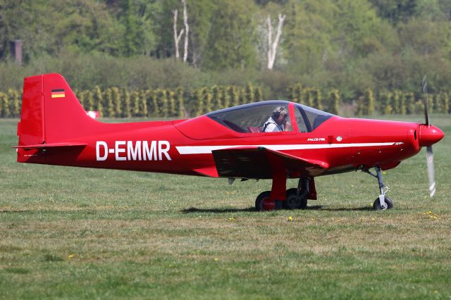 D-EMMR —