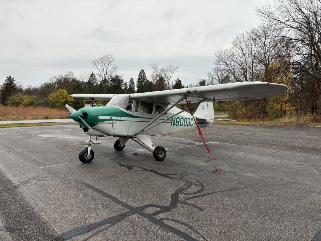 Piper PA-22 Tri-Pacer (N8003C)