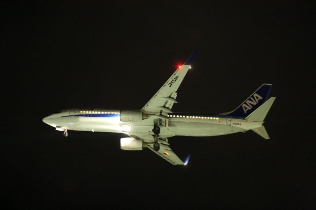 Boeing 737-800 (JA65AN) - 26 November 2016:HND-HKD.