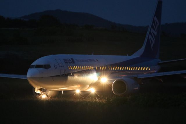 Boeing 737-800 (JA55AN) - 10 June 2016:HKD-HND.