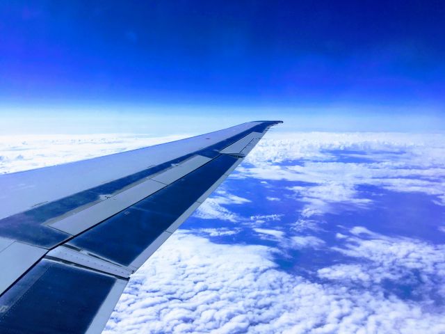 McDonnell Douglas MD-82 (N501AA) - AAL1478 from DFW to RDU on March 24, 2019 in cruise.