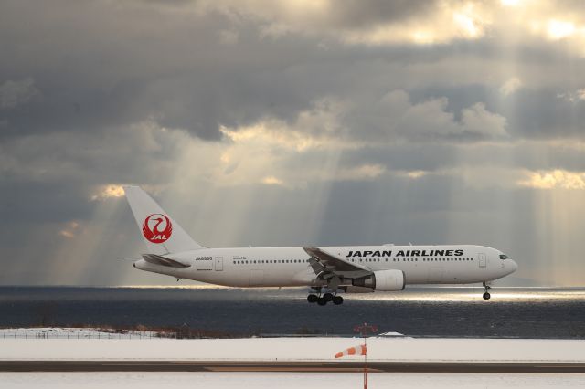 BOEING 767-300 (JA8986) - January 4th 2019:HND-HKD.