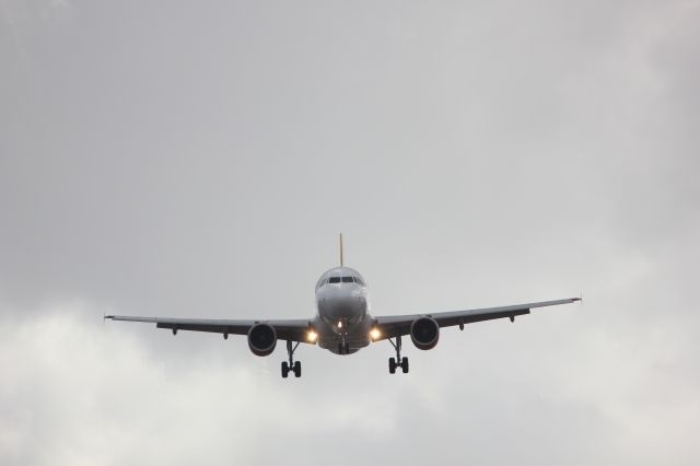 Airbus A320 (EC-MEG)