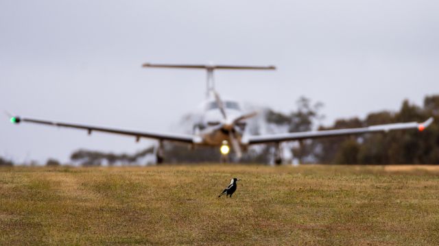 Pilatus PC-12 (VH-WPQ)