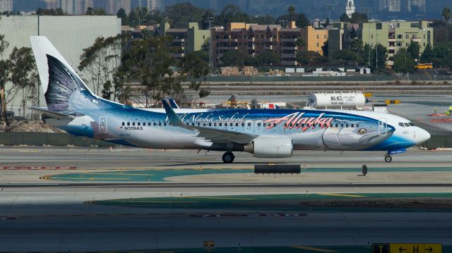 Boeing 737-800 (N508AS)