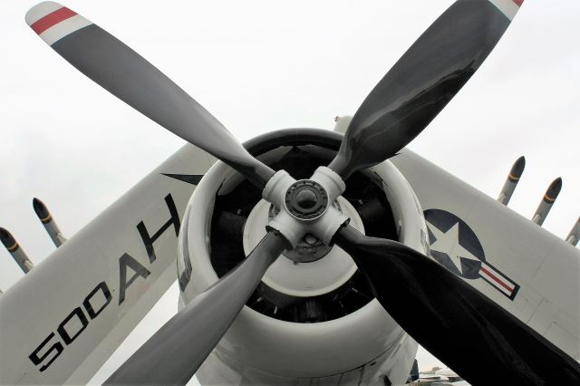 Douglas AD Skyraider (AMU39606) - Skyraider at rest in Oshkosh.