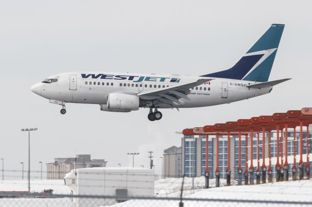 BOEING 737-600 (C-GWSJ) - Landing 24R at YYZ.