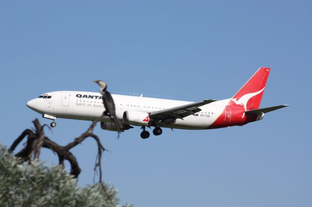 BOEING 737-400 (VH-TJU)