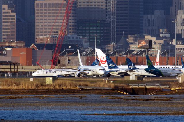 Boeing 757-200 (N801DM) - Dallas Mavericks B757-200 bringing the team to Boston to play the Celtics on 3/31/21. Plane is seen resting in the early morning sunlight surrounded by Aer Lingus, JAL and several Jet Blue aircraft. 